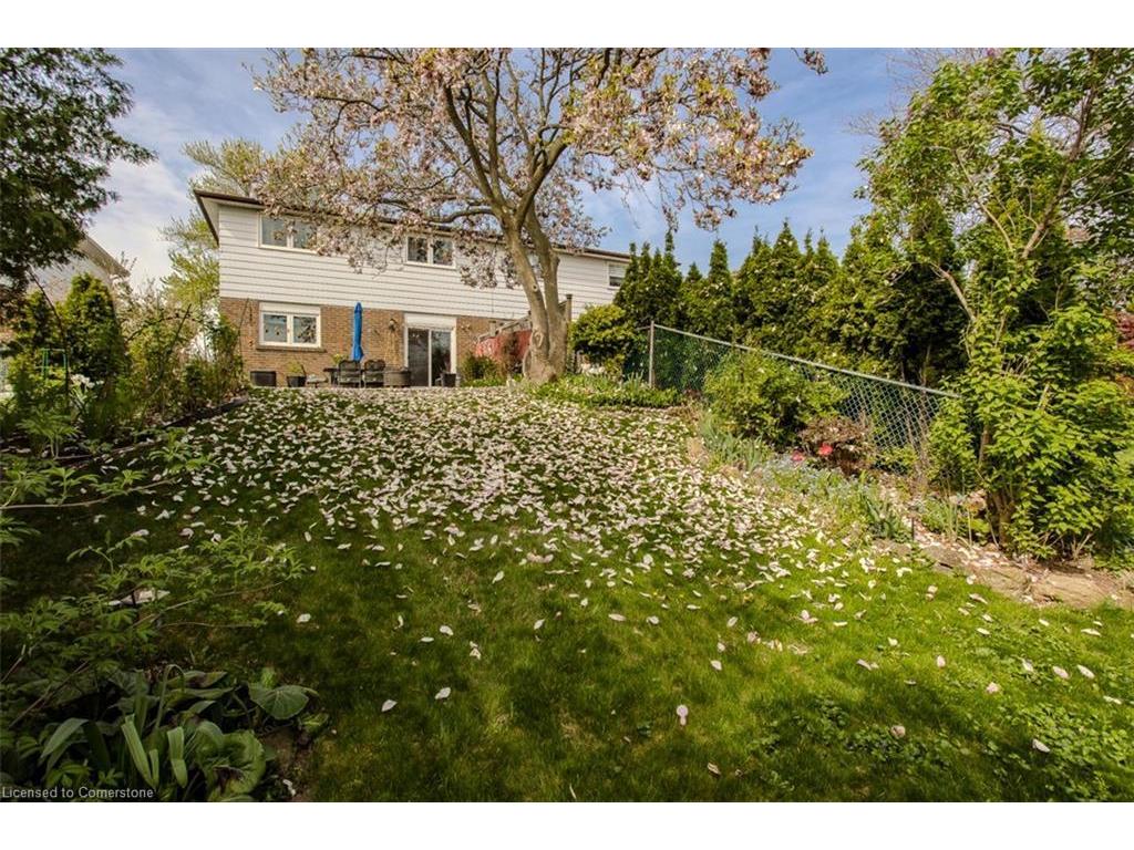 









3419


Homark

Drive,
Mississauga,




ON
L4Y 2K6

