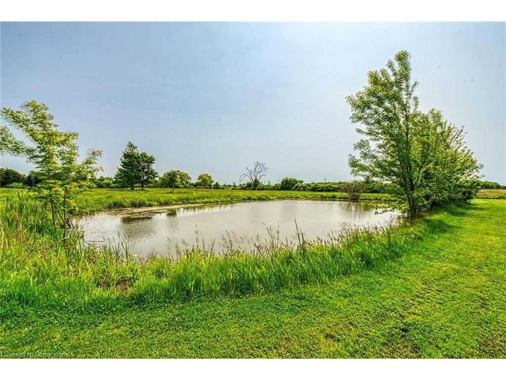 









3834


Haldimand 20

Road,
Dunnville,




ON
N1A 2W3

