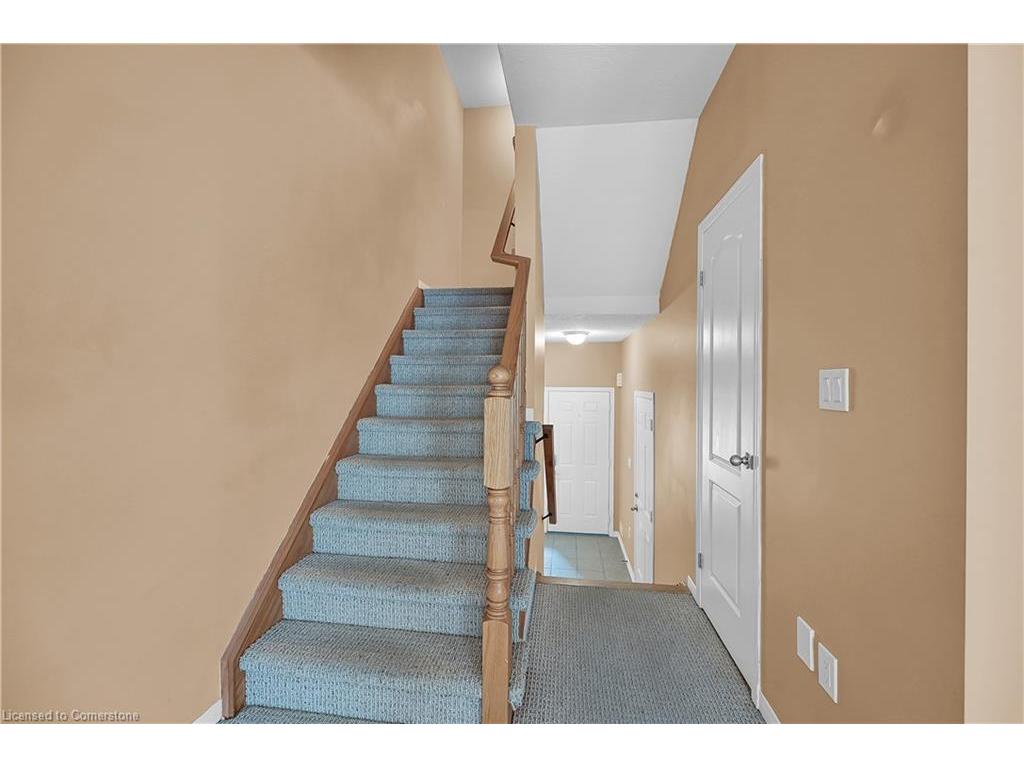 









170


Palacebeach

Trail, 24,
Hamilton,




ON
L8E 0H2

