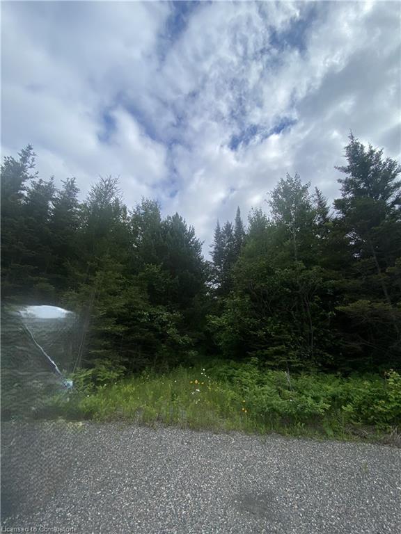 









LOT 1 (ON-17)


Trans Canada

Highway,
Plummer Additional,







ON
P0R 1C0

