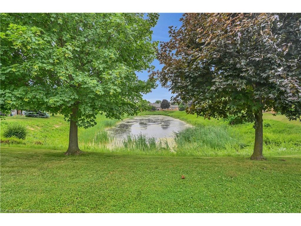 









23


Northernbreeze

Street,
Mount Hope,




ON
L0R 1W0

