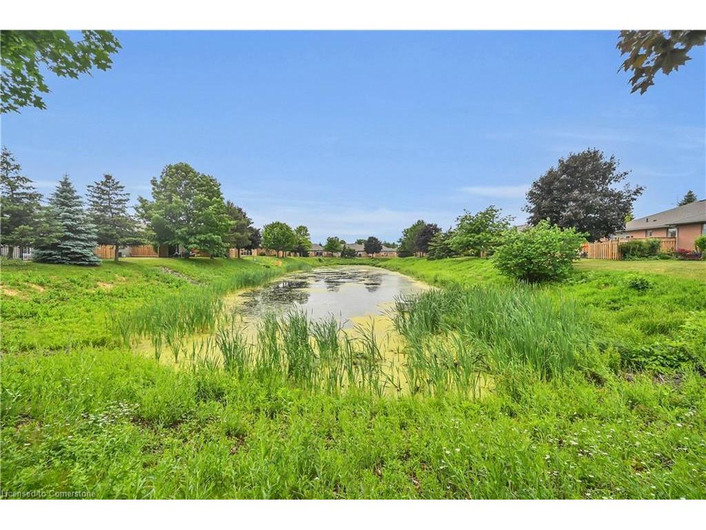 









23


Northernbreeze

Street,
Mount Hope,




ON
L0R 1W0

