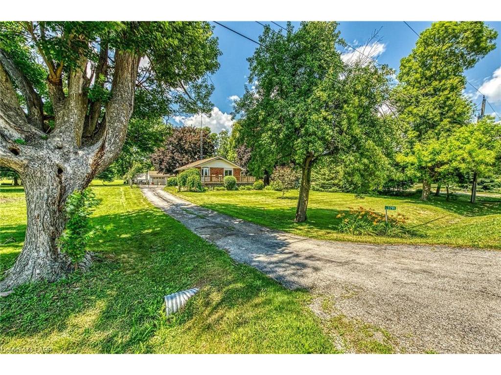 









3791


Highway 3

,
Hagersville,




ON
N0A 1H0

