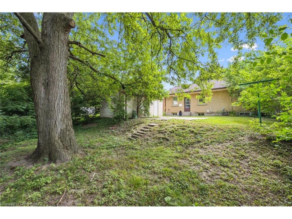 









56


Dover

Street,
Waterloo,




ON
N2J 1Z1

