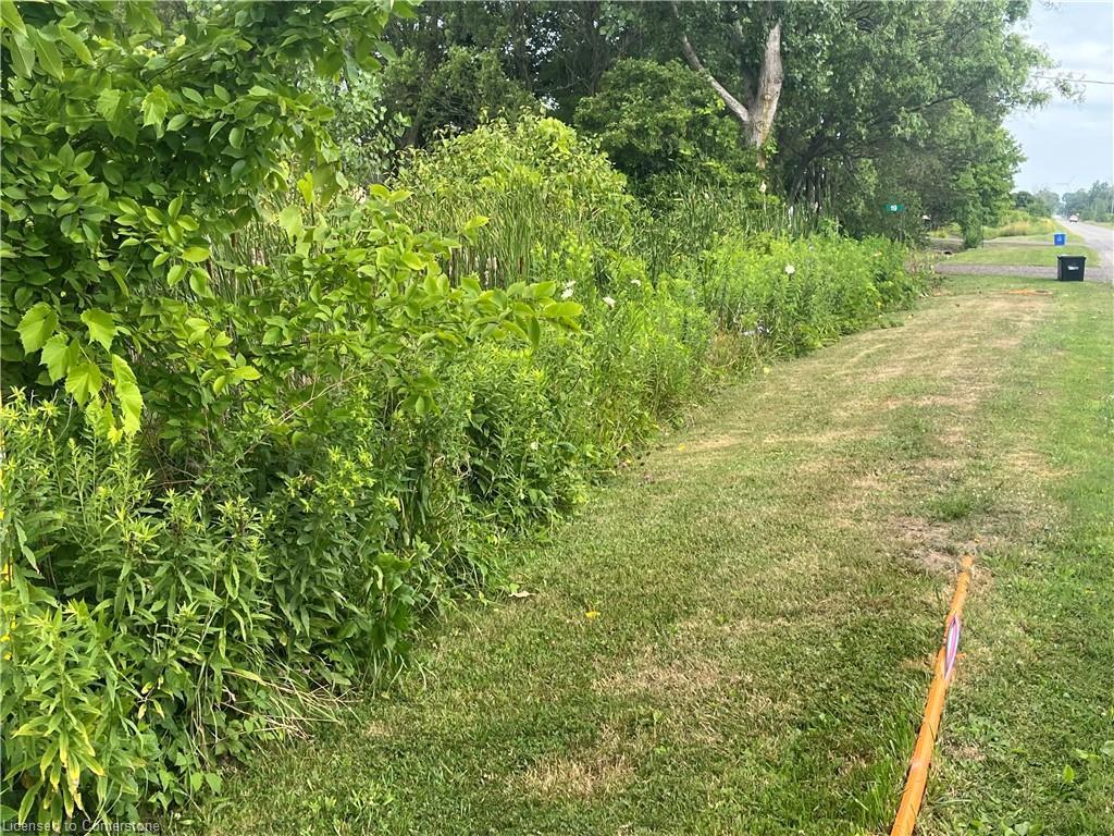 









17


Dickhout

Road,
Lowbanks,







ON
N0A 1K0

