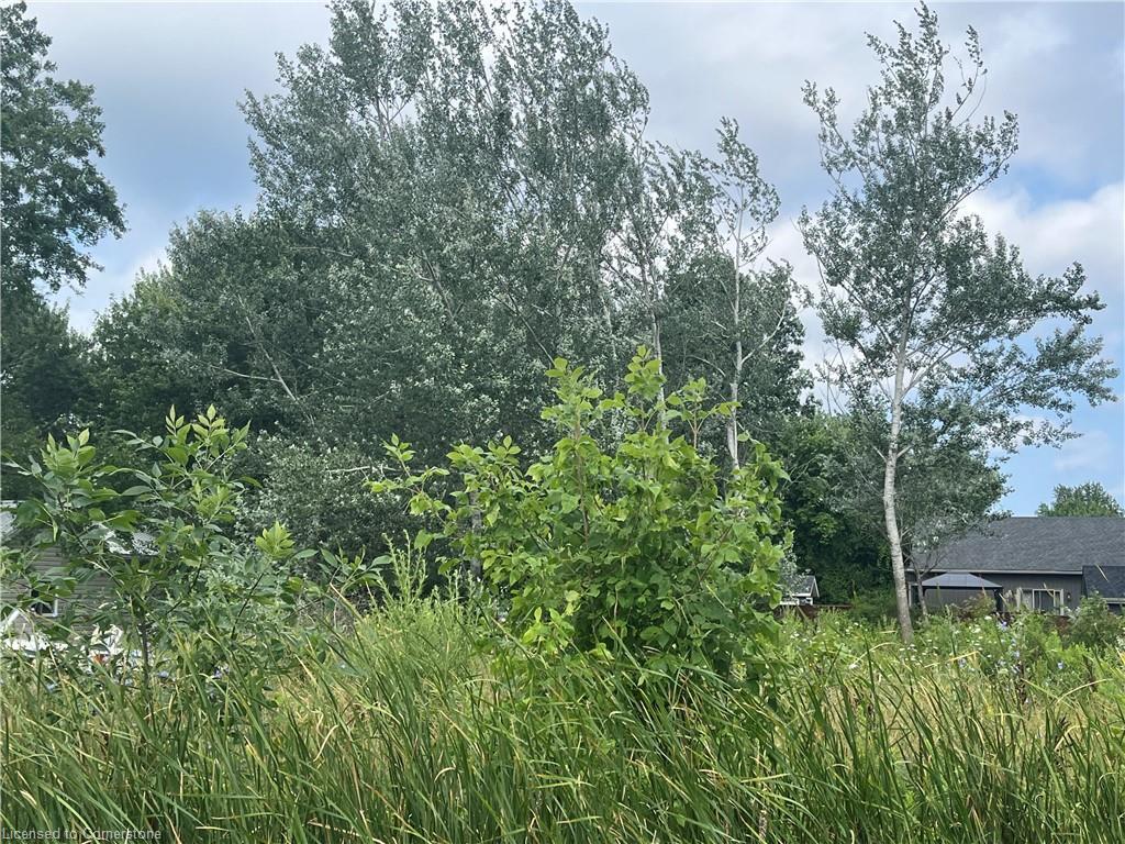 









17


Dickhout

Road,
Lowbanks,







ON
N0A 1K0

