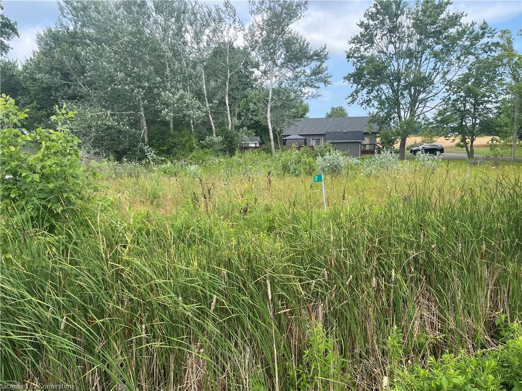 









17


Dickhout

Road,
Lowbanks,







ON
N0A 1K0

