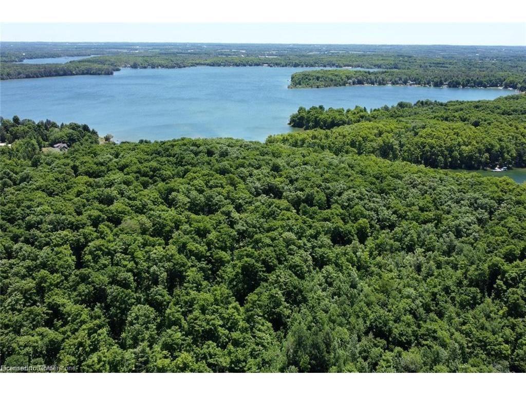 









466408


12th Concession B, R.R. 4

,
Flesherton,







ON
N0C 1E0

