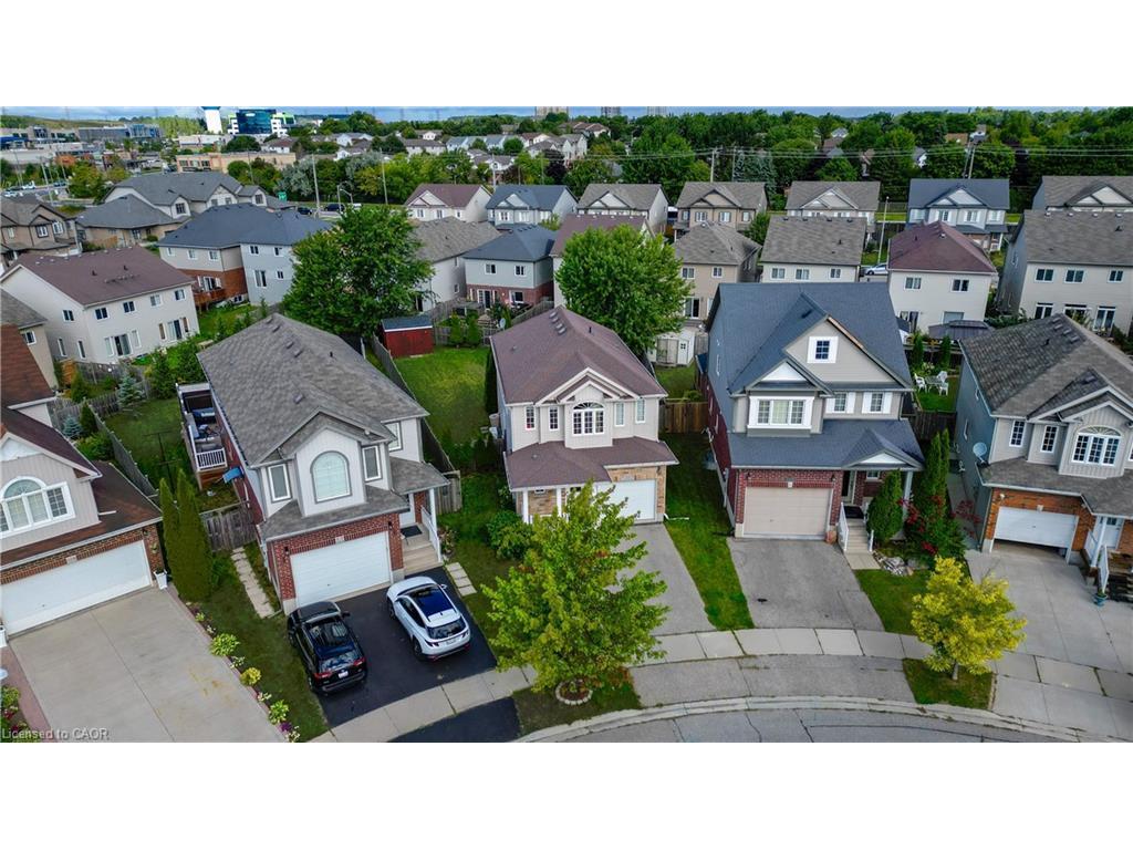 









220


Lemon Grass

Crescent,
Kitchener,




ON
N2N 3R7

