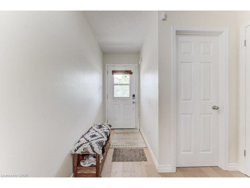 









220


Lemon Grass

Crescent,
Kitchener,




ON
N2N 3R7

