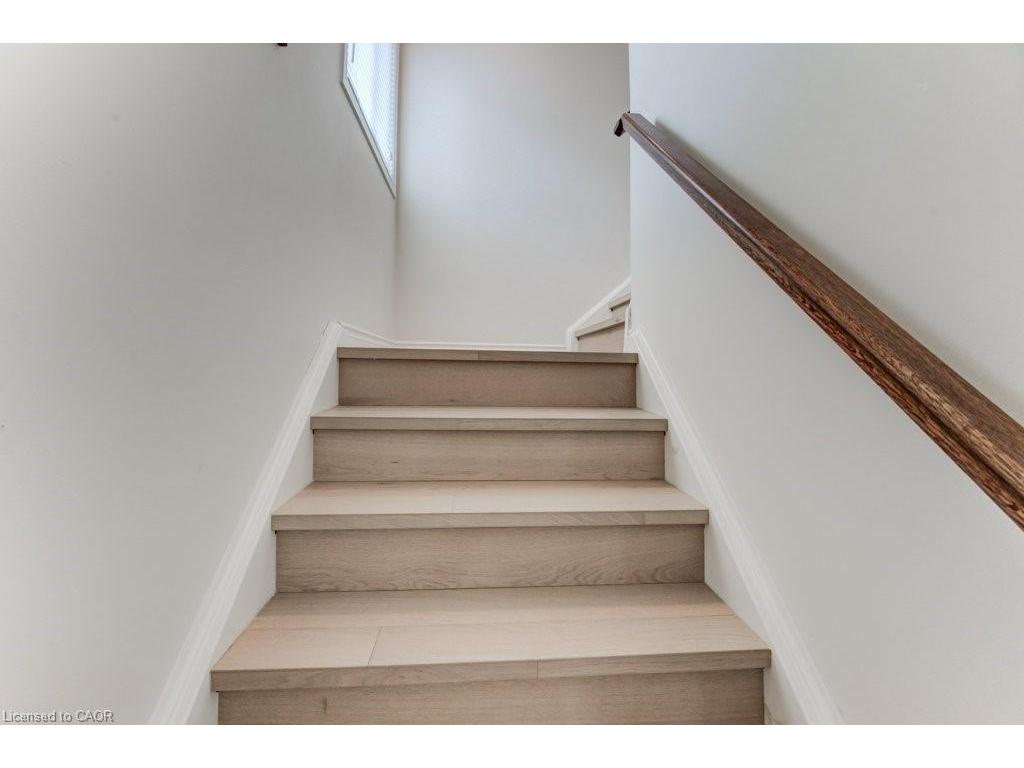 









220


Lemon Grass

Crescent,
Kitchener,




ON
N2N 3R7

