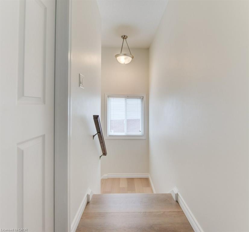 









220


Lemon Grass

Crescent,
Kitchener,




ON
N2N 3R7


