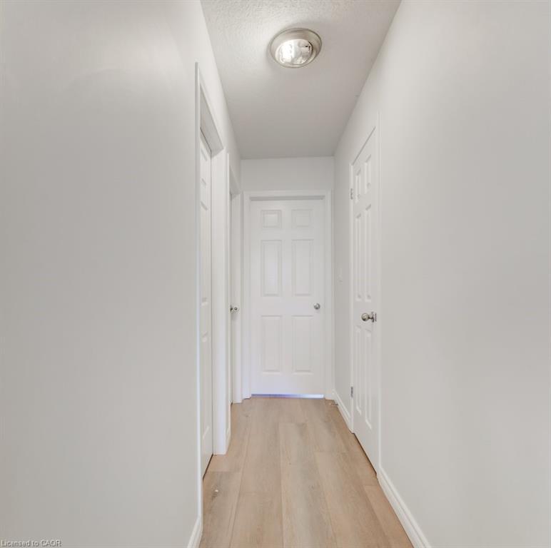 









220


Lemon Grass

Crescent,
Kitchener,




ON
N2N 3R7

