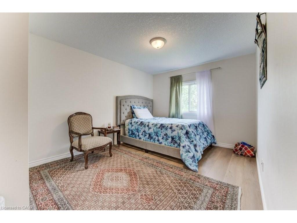









220


Lemon Grass

Crescent,
Kitchener,




ON
N2N 3R7

