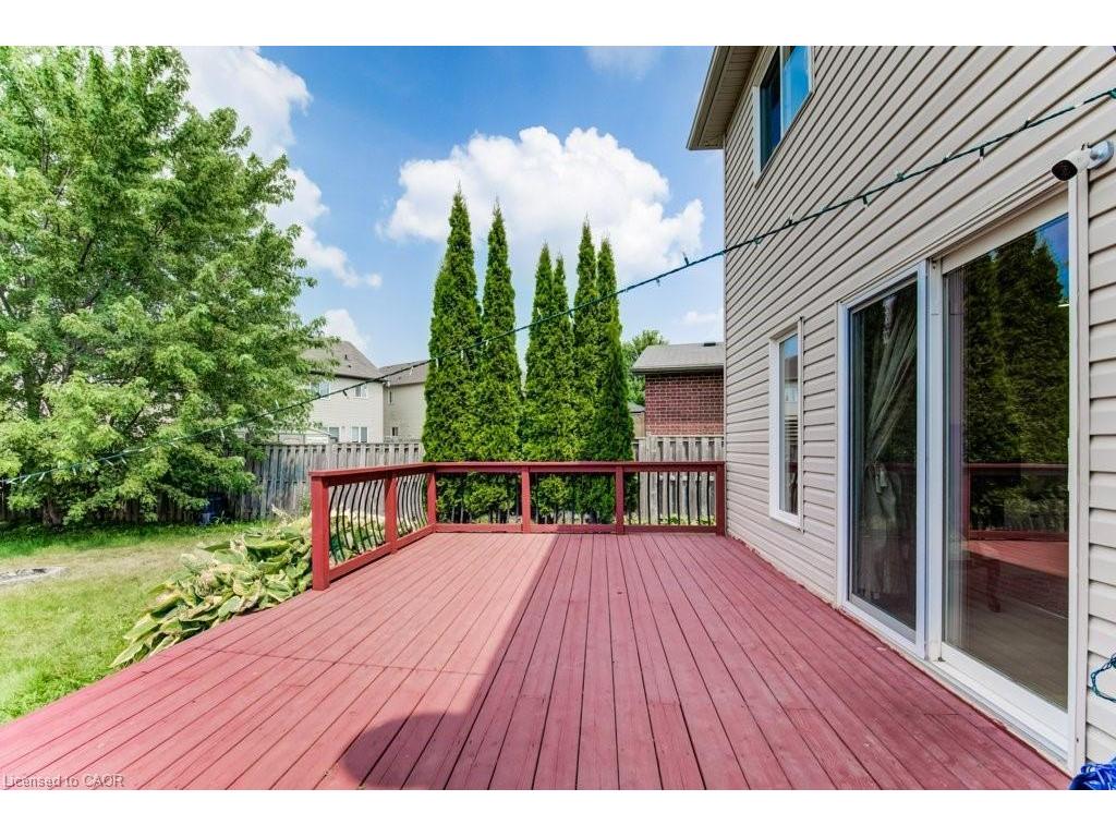 









220


Lemon Grass

Crescent,
Kitchener,




ON
N2N 3R7

