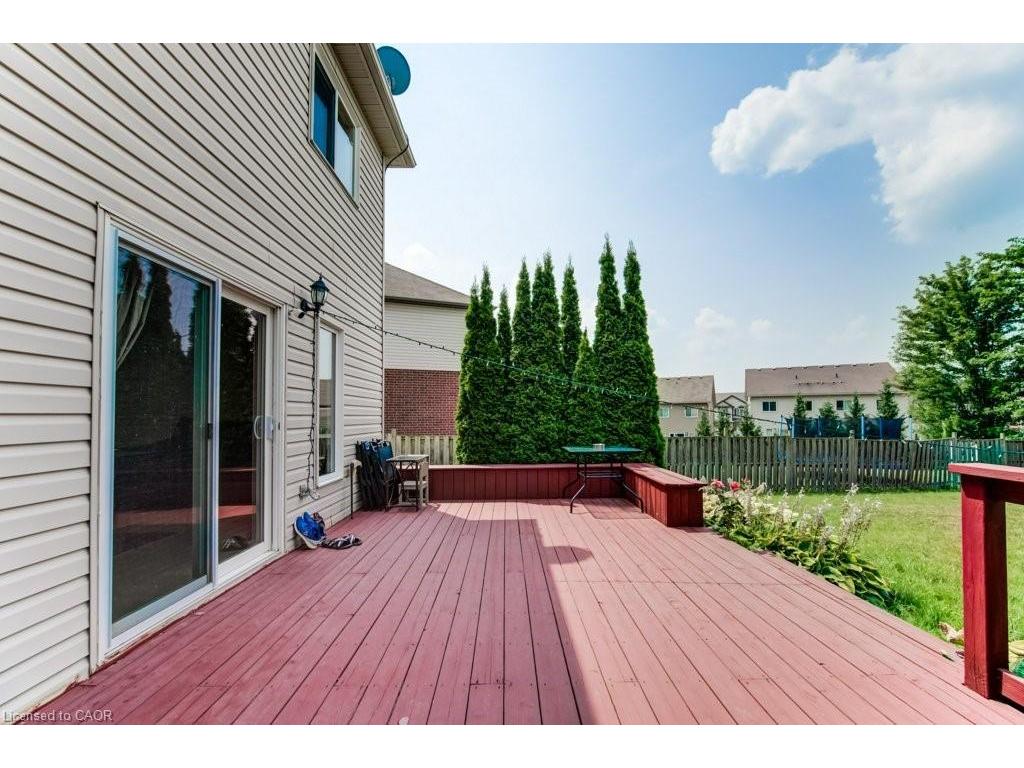 









220


Lemon Grass

Crescent,
Kitchener,




ON
N2N 3R7

