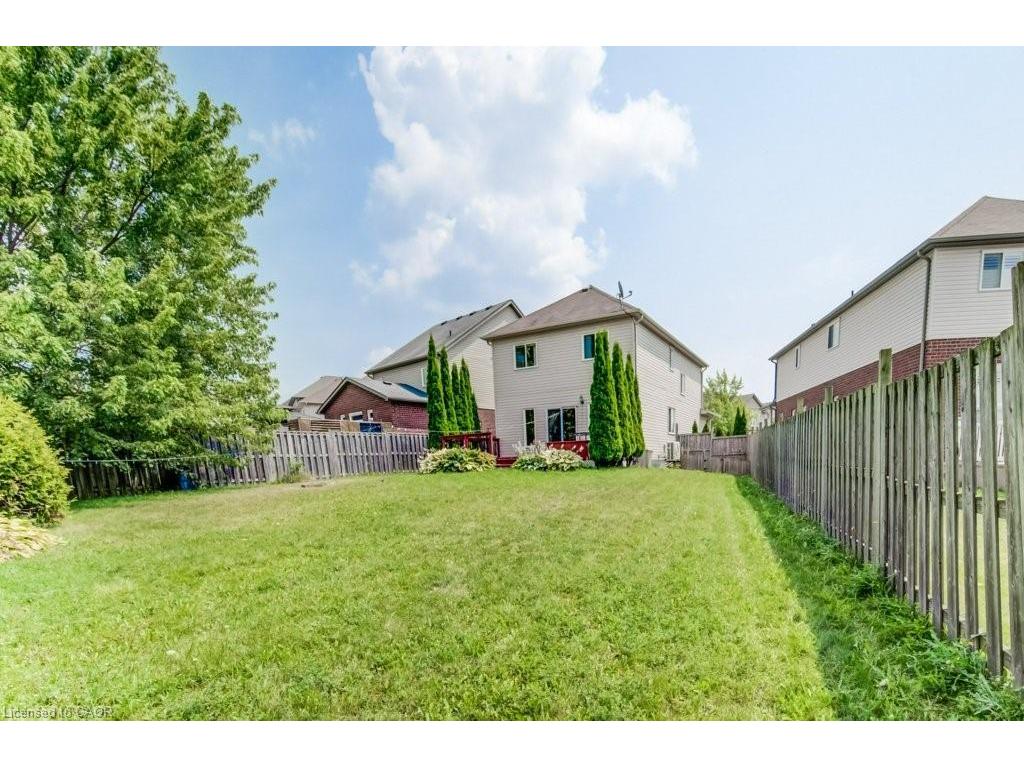 









220


Lemon Grass

Crescent,
Kitchener,




ON
N2N 3R7

