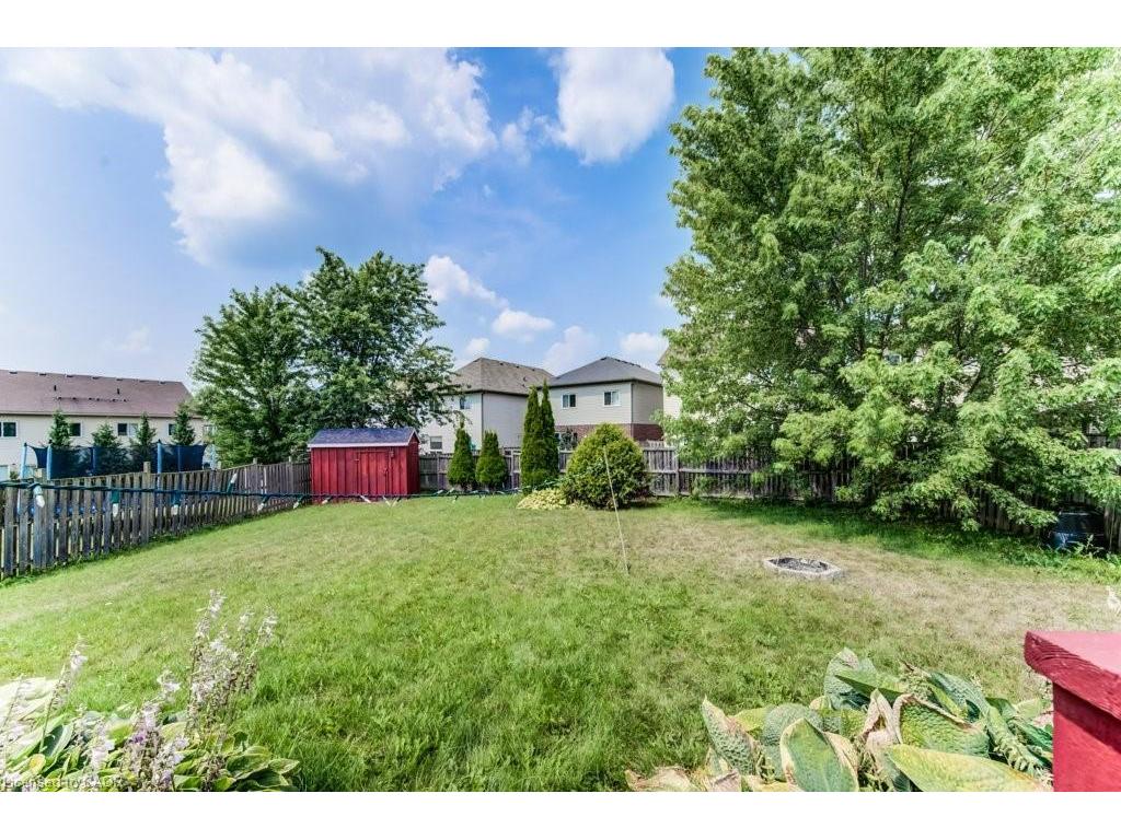 









220


Lemon Grass

Crescent,
Kitchener,




ON
N2N 3R7

