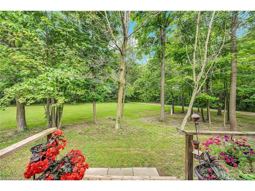 









35


Little

Road,
Cayuga,




ON
N0A 1E0

