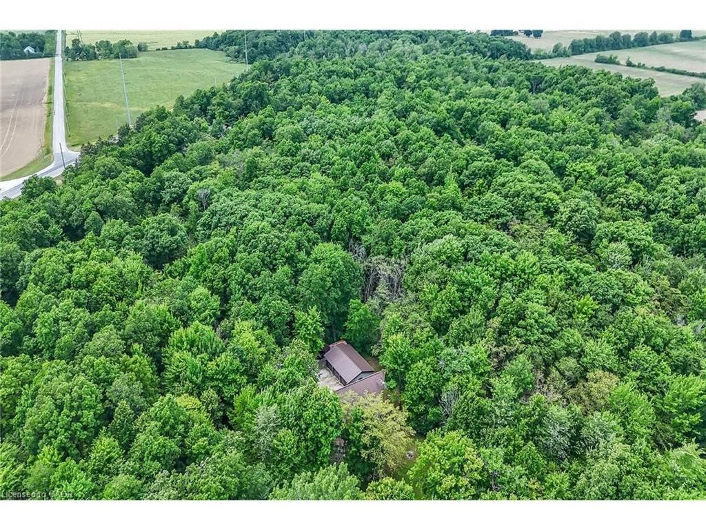 









35


Little

Road,
Cayuga,




ON
N0A 1E0

