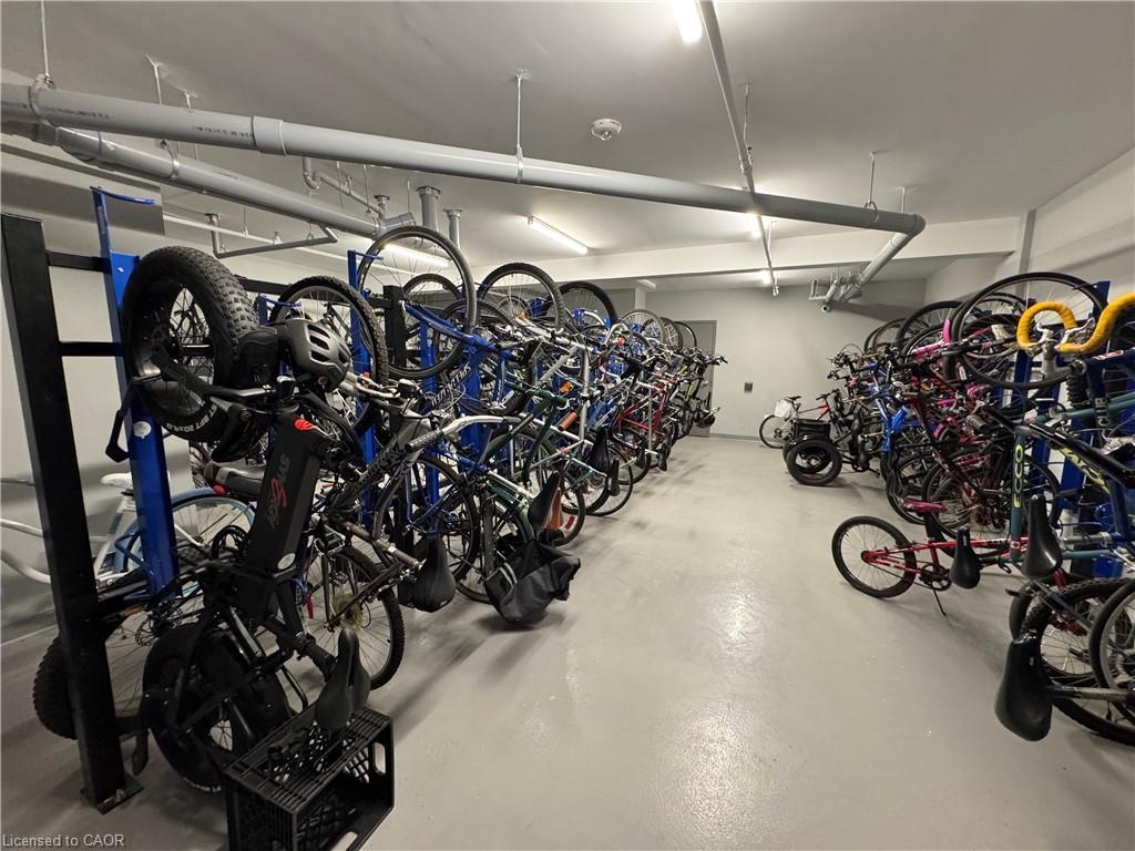 









5055


Greenlane

Road, 344,
Beamsville,




ON
L0R 1B3

