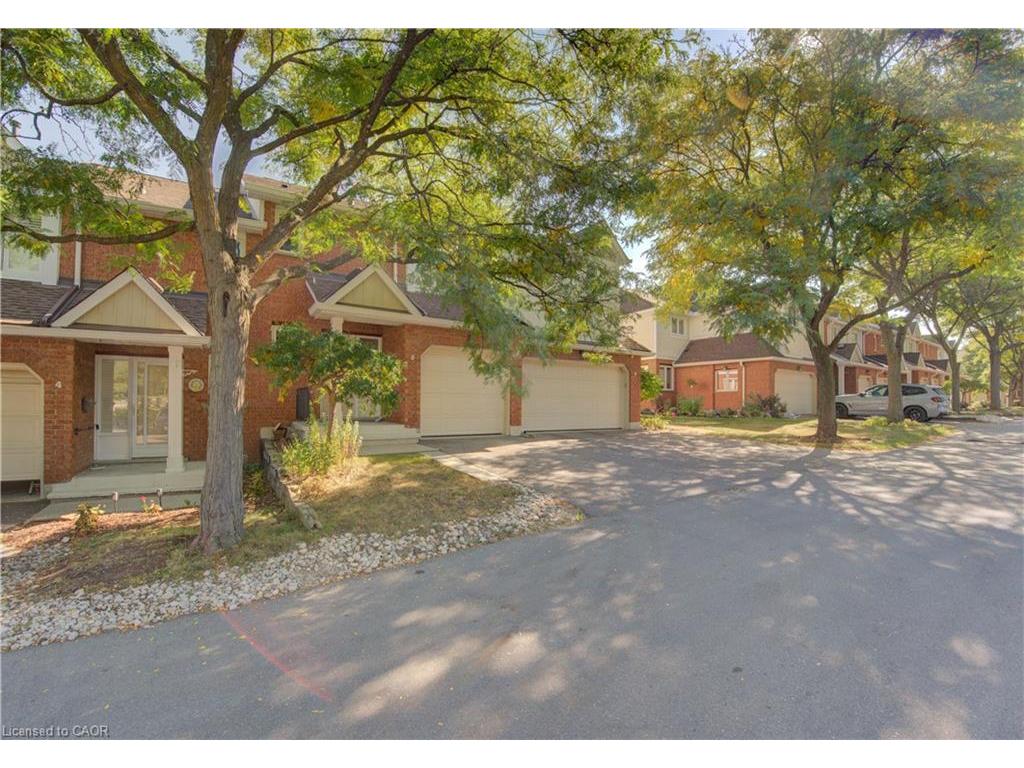 









523


Beechwood

Drive, 5,
Waterloo,




ON
N2T 2G7

