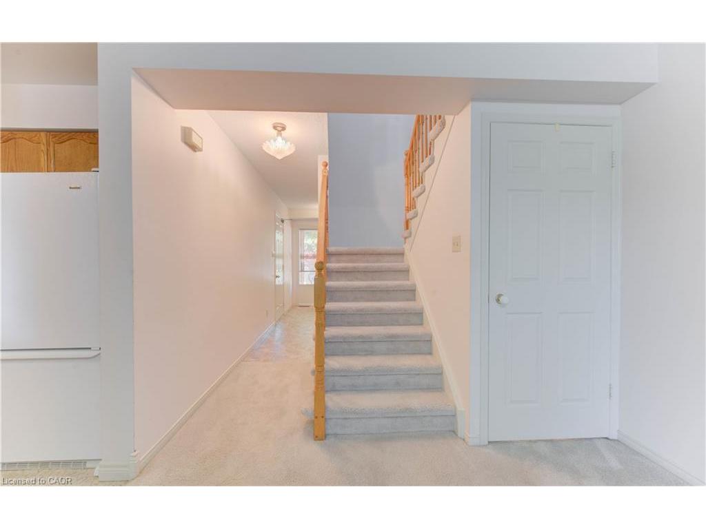 









523


Beechwood

Drive, 5,
Waterloo,




ON
N2T 2G7

