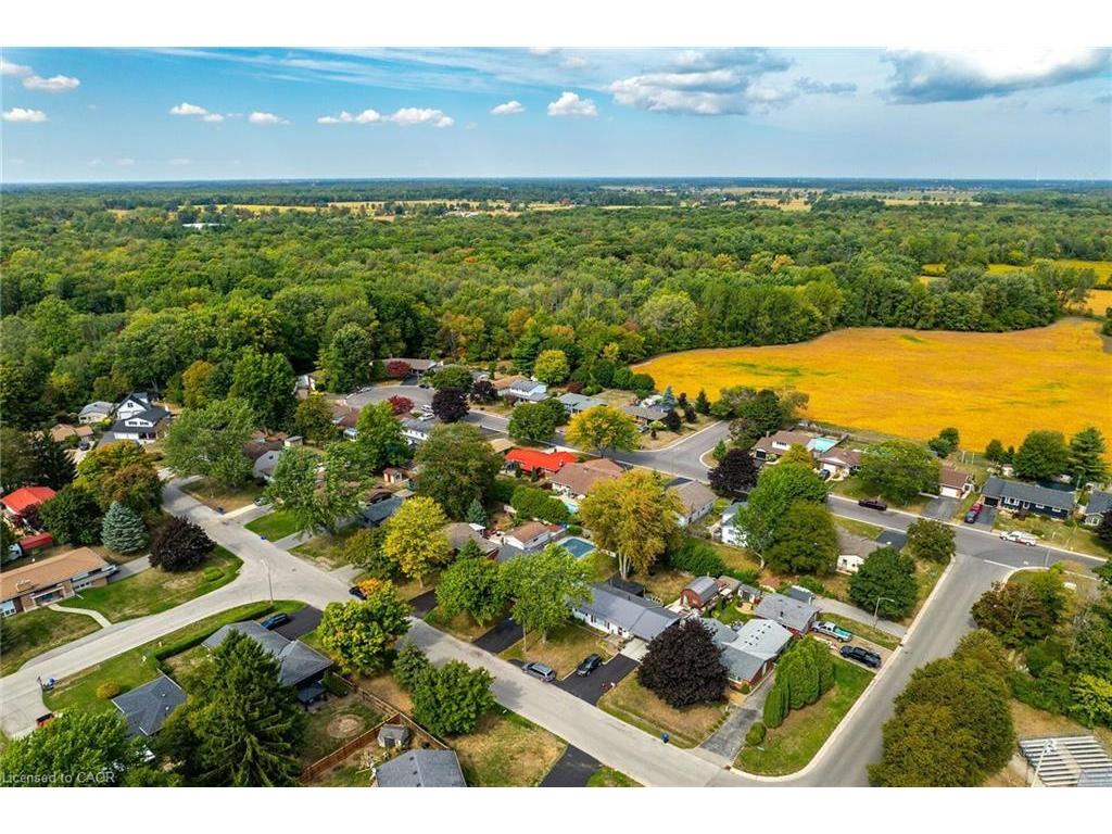 









325


Brookfield

Boulevard,
Dunnville,




ON
N1A 1L7

