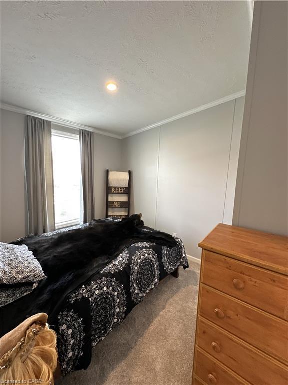 









14


Copper Beech

Drive,
Haldimand County,




ON
N0A 1L0

