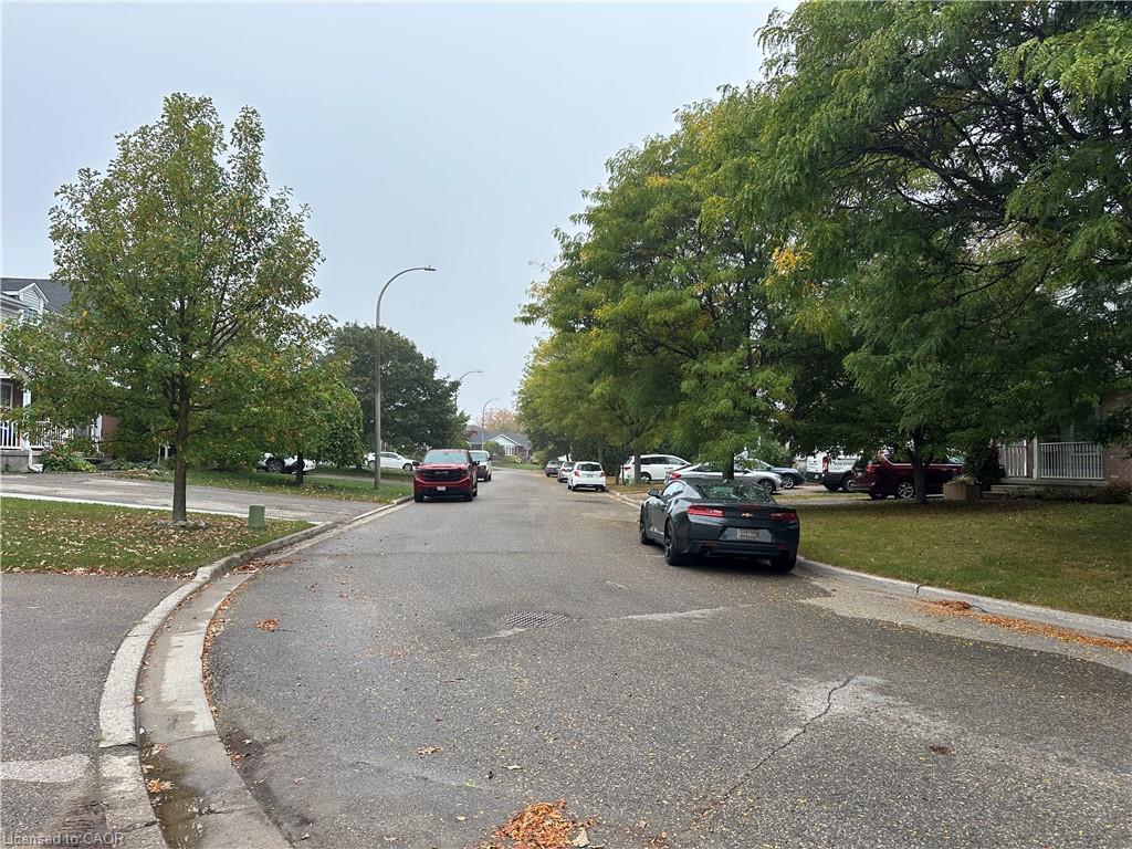 









417


Bankside

Crescent, LOWER/MAIN,
Kitchener,




ON
N2N 3E5

