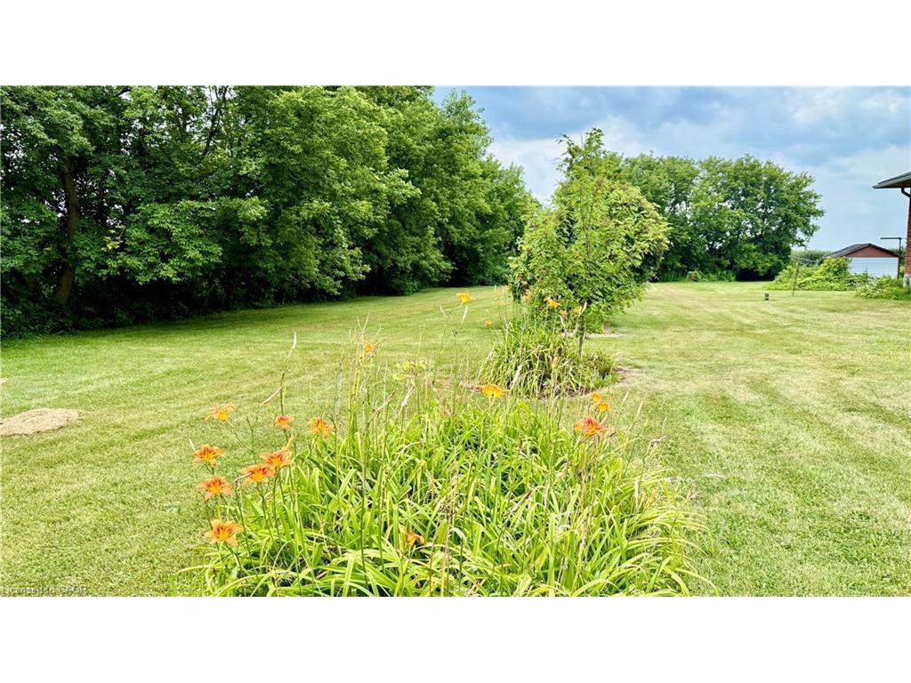 









1665


Cockshutt

Road,
Waterford,




ON
N0E 1Y0

