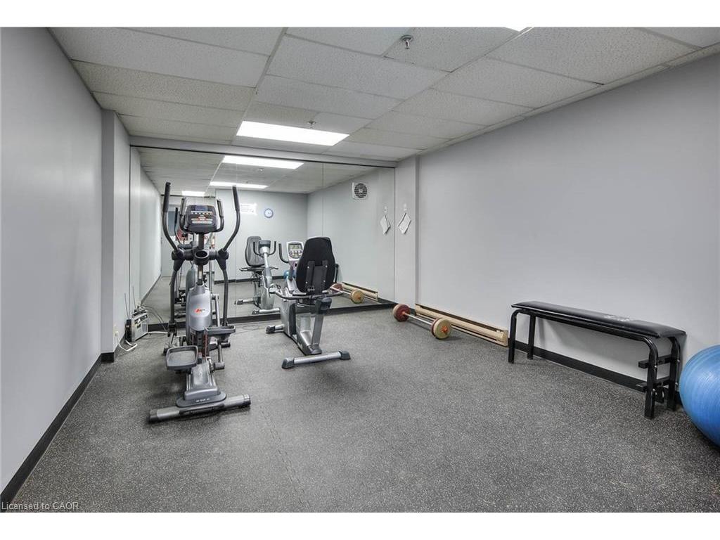 









65


Westmount

Road North, 801,
Waterloo,




ON
N2L 5G6

