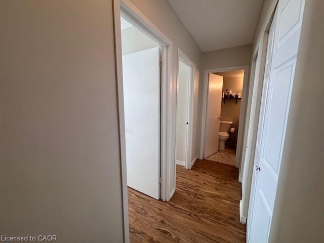 









15


Albright

Road, 603,
Hamilton,




ON
L8K 5J2

