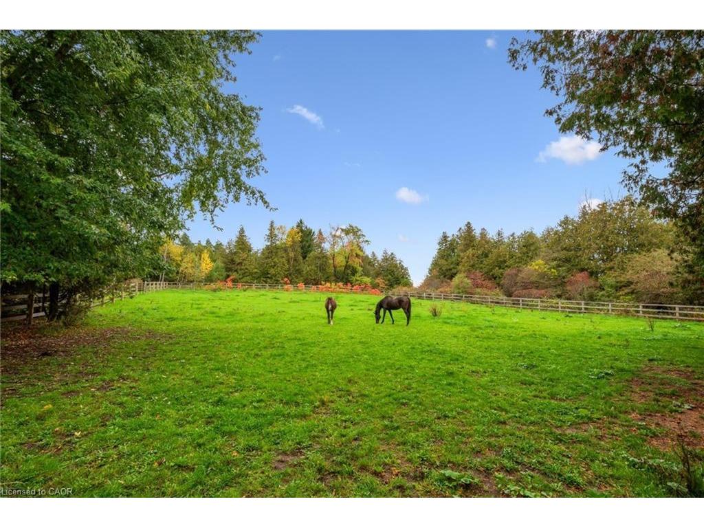 









7907


Sixteenth

Line,
Arthur,




ON
N0G 1A0

