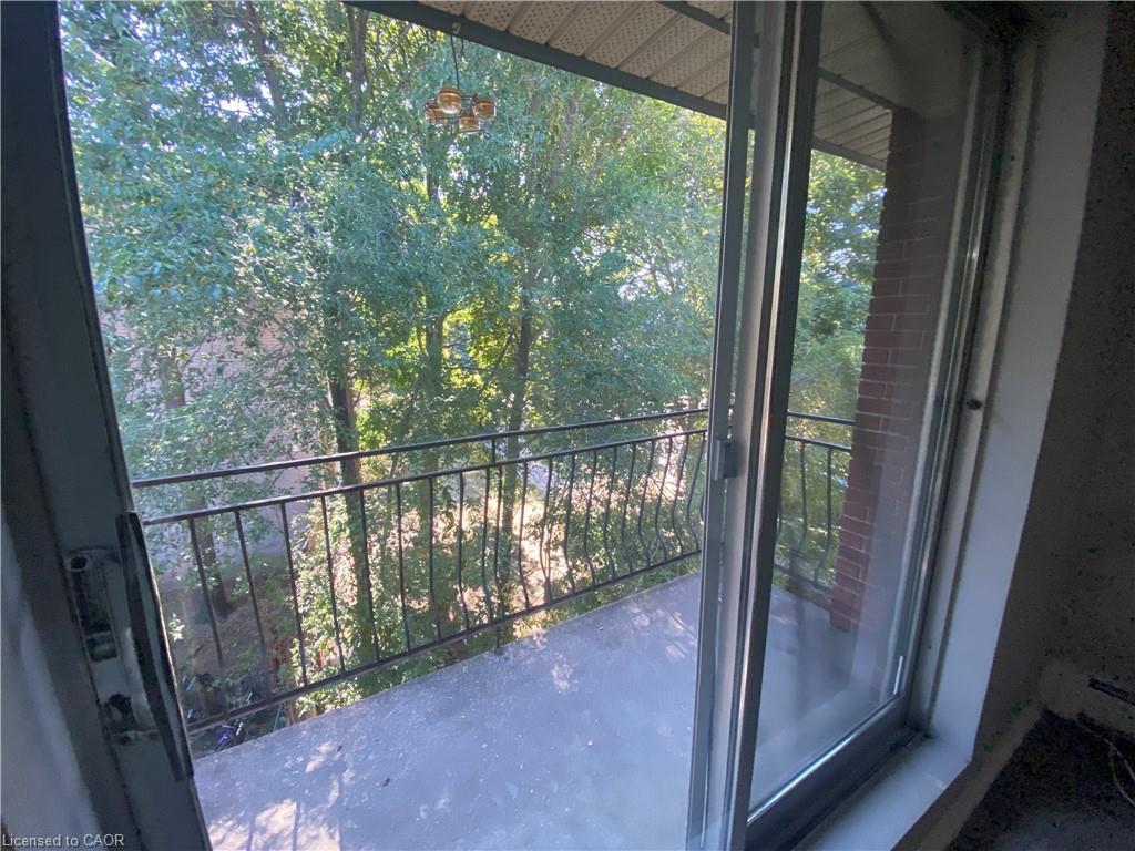 









163


Chandler

Drive, 15,
Kitchener,




ON
N2E 1H1

