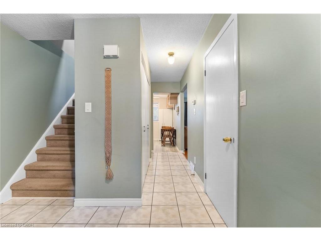 









229


Veronica

Drive,
Kitchener,




ON
N2A 2R8

