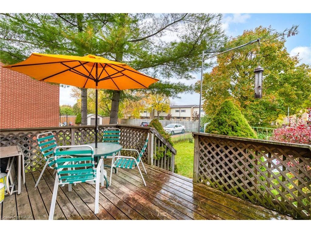 









229


Veronica

Drive,
Kitchener,




ON
N2A 2R8

