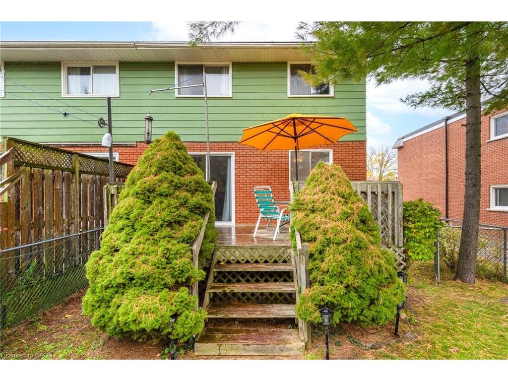 









229


Veronica

Drive,
Kitchener,




ON
N2A 2R8

