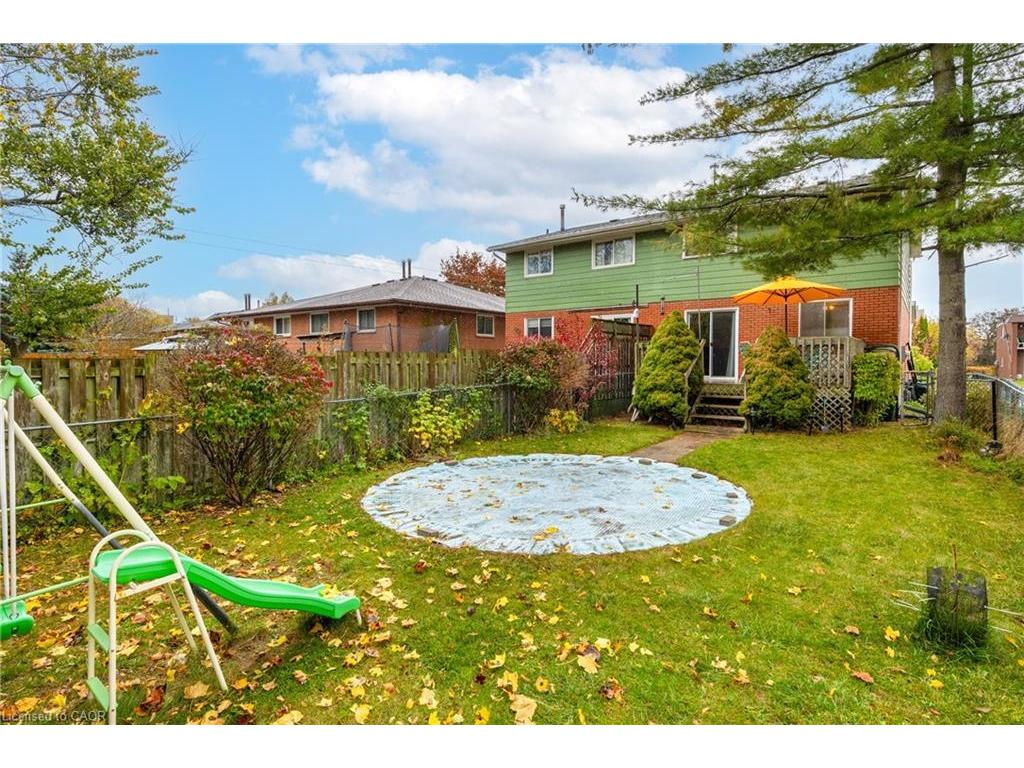 









229


Veronica

Drive,
Kitchener,




ON
N2A 2R8

