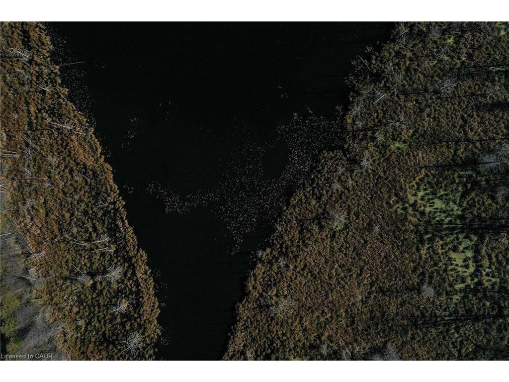 









6361


16th

Line,
Minto,




ON
N0G 1M0

