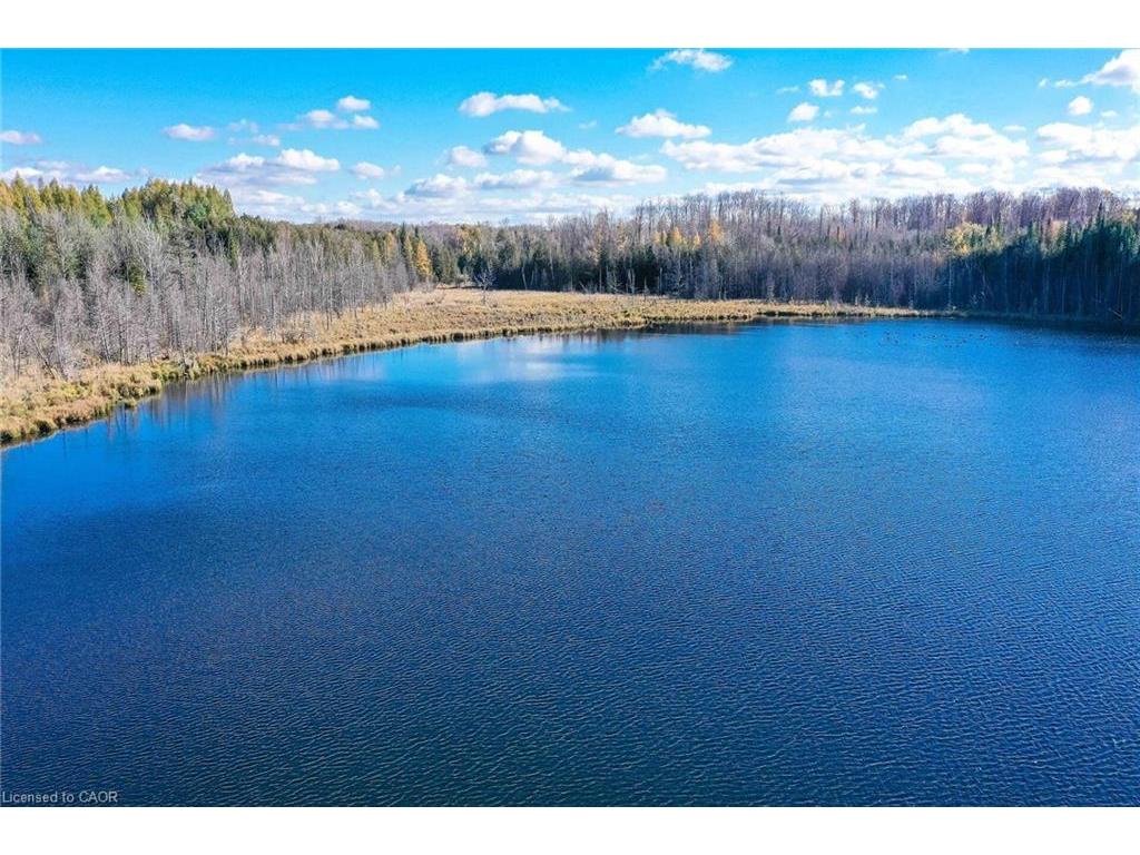 









6361


16th

Line,
Minto,




ON
N0G 1M0

