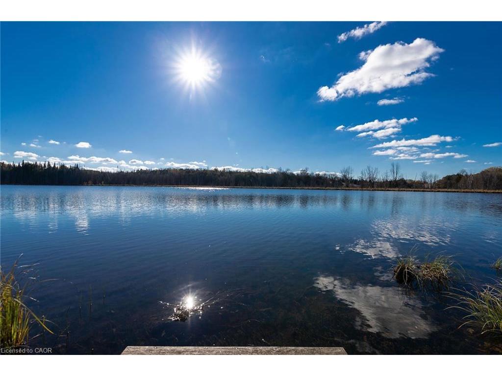 









6361


16th

Line,
Minto,




ON
N0G 1M0

