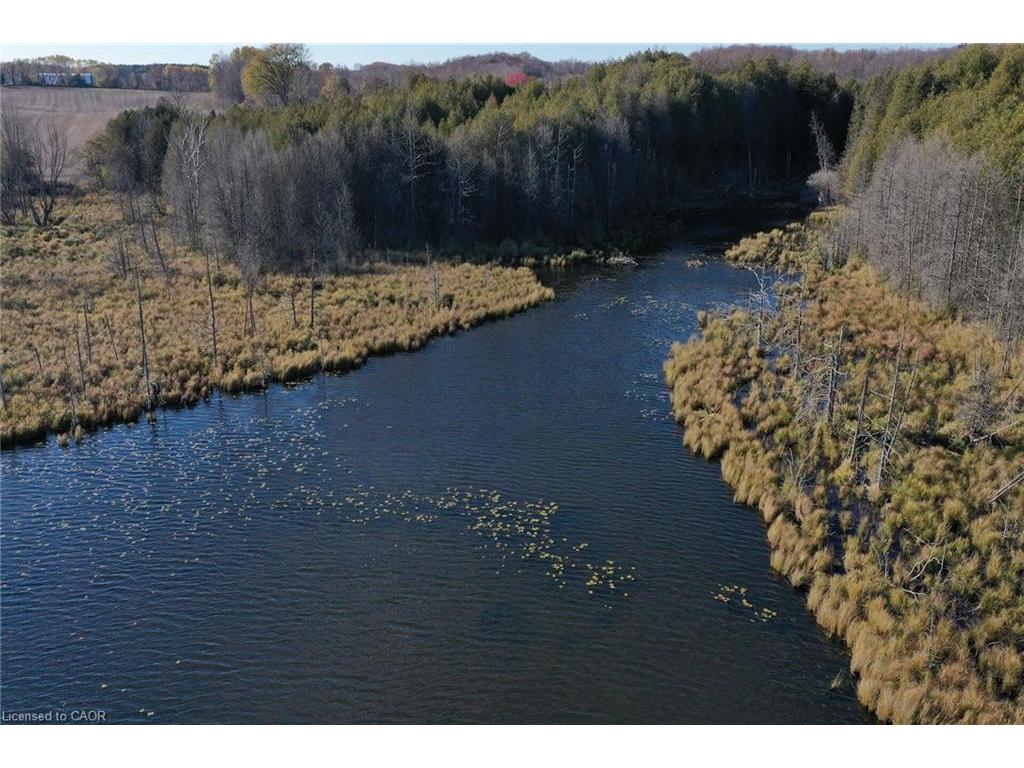 









6361


16th

Line,
Minto,




ON
N0G 1M0

