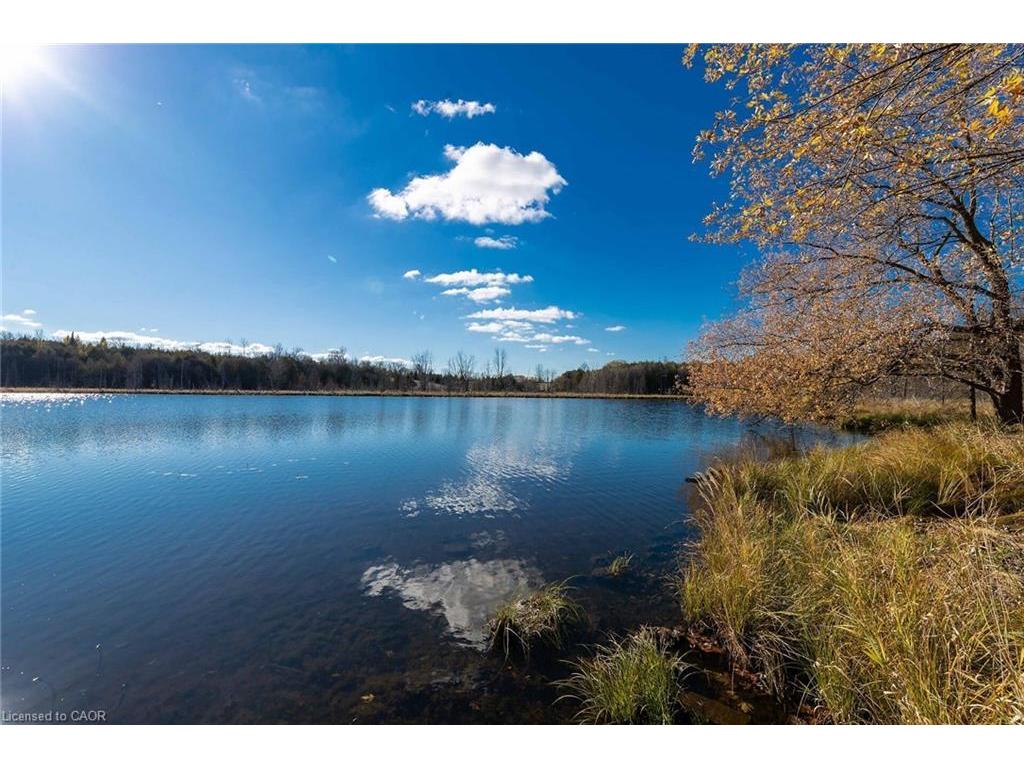 









6361


16th

Line,
Minto,




ON
N0G 1M0

