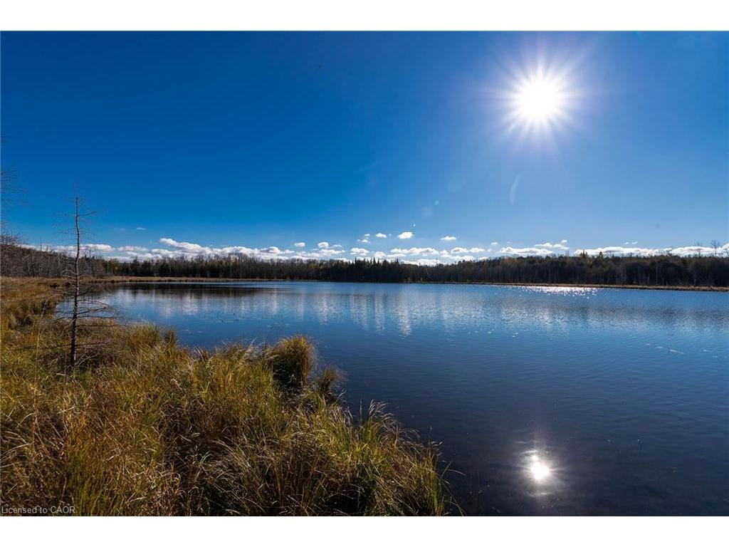 









6361


16th

Line,
Minto,




ON
N0G 1M0

