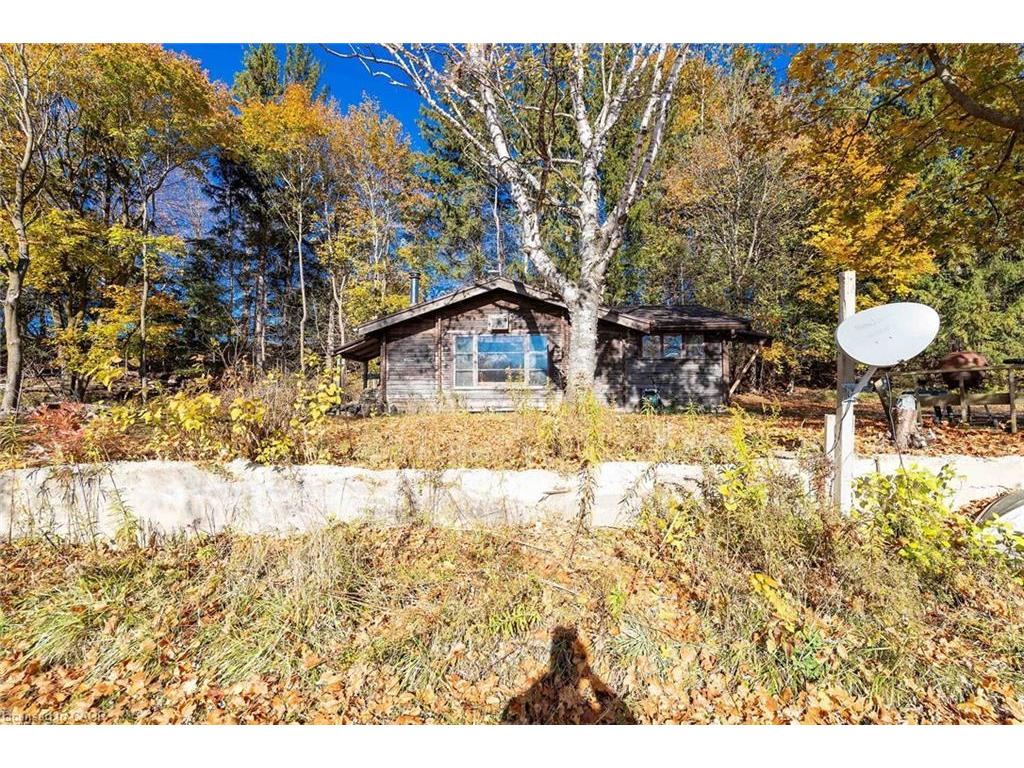 









6361


16th

Line,
Minto,




ON
N0G 1M0

