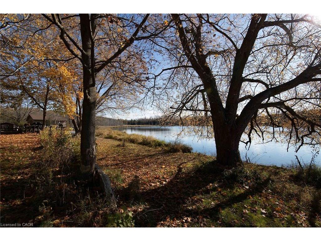 









6361


16th

Line,
Minto,




ON
N0G 1M0

