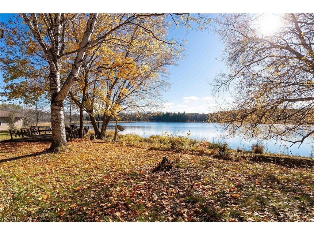 









6361


16th

Line,
Minto,




ON
N0G 1M0

