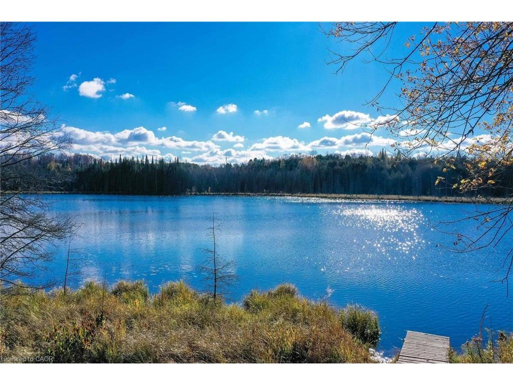 









6361


16th

Line,
Minto,




ON
N0G 1M0

