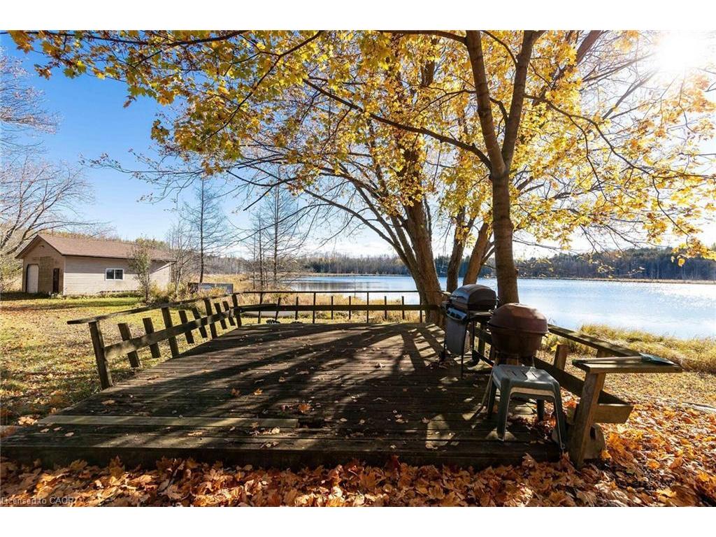 









6361


16th

Line,
Minto,




ON
N0G 1M0

